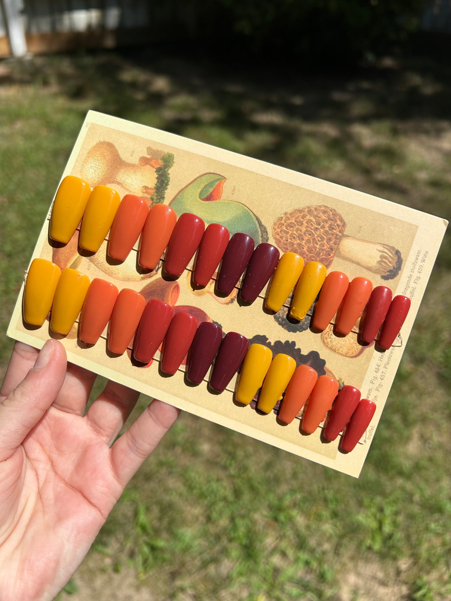 Fall foliage 🍁🍂 medium coffin one size fits all