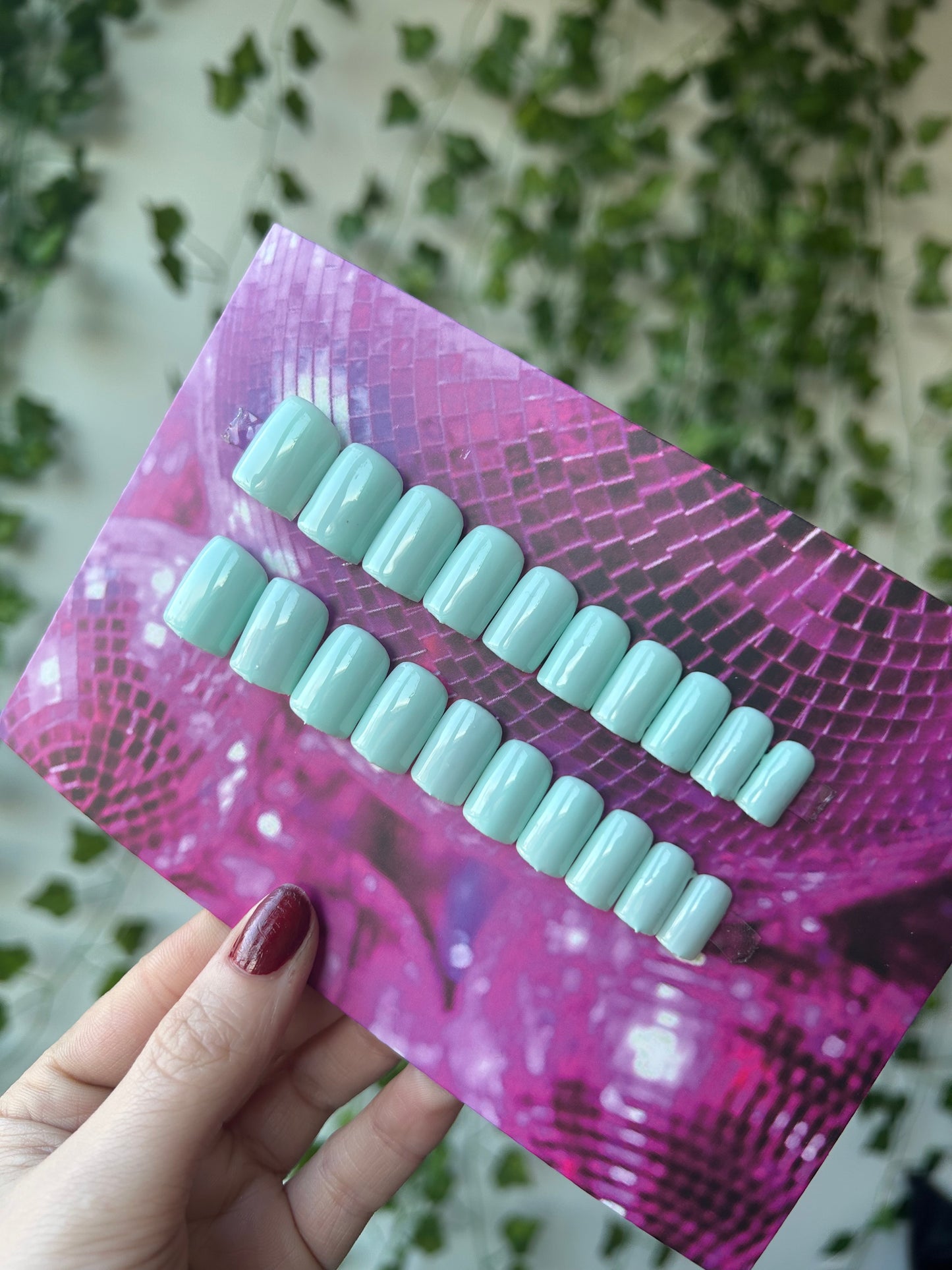 Minty 🌱 short square one size fits all