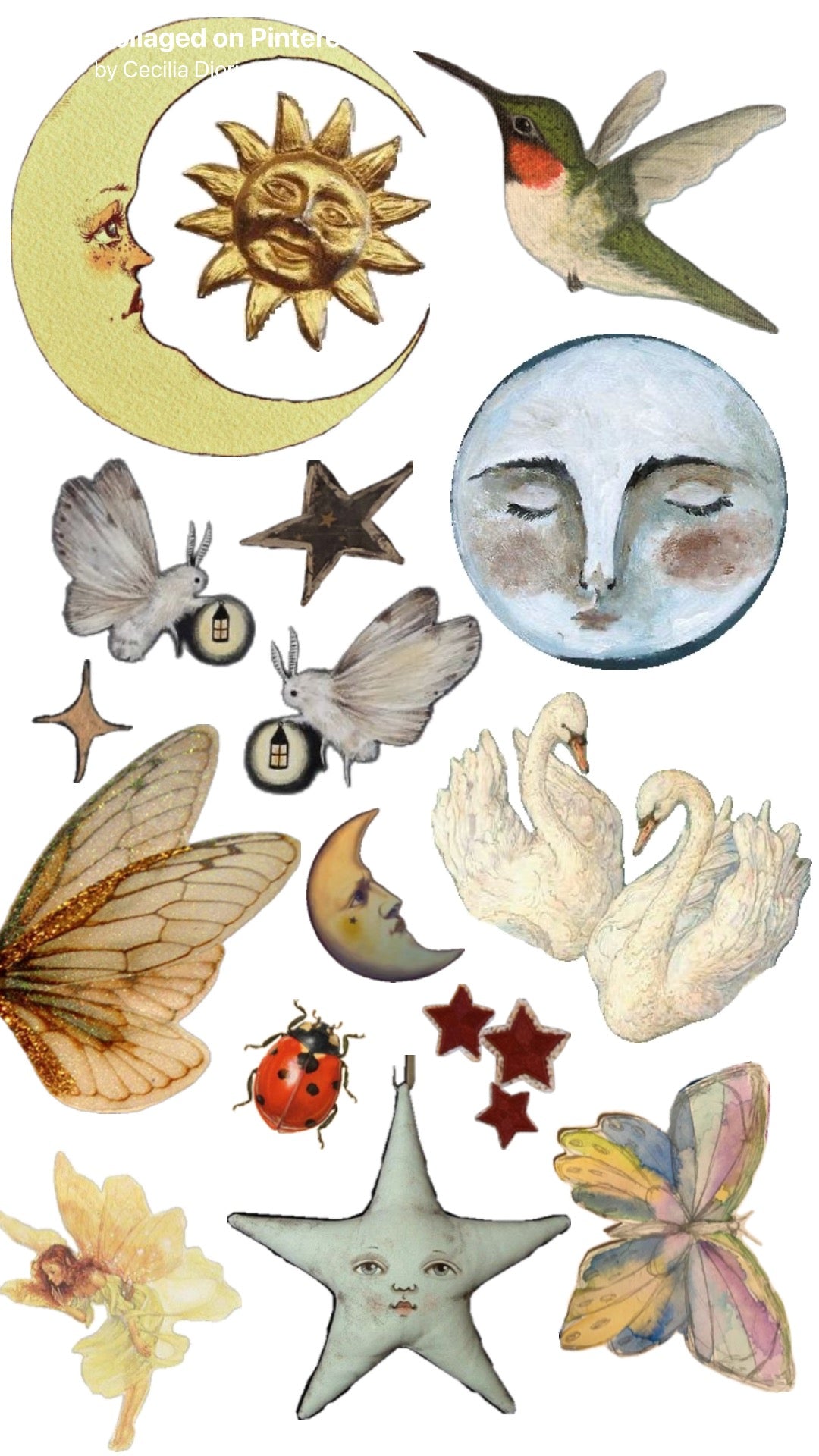 All the whimsy ππ¦’