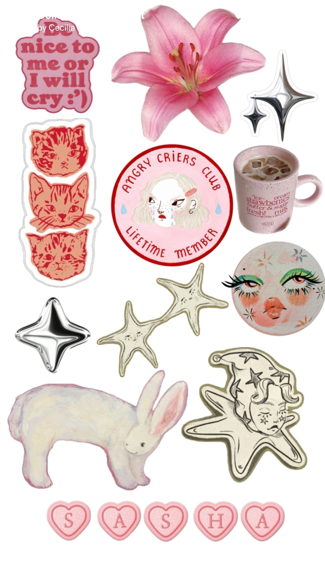 Star Bunny