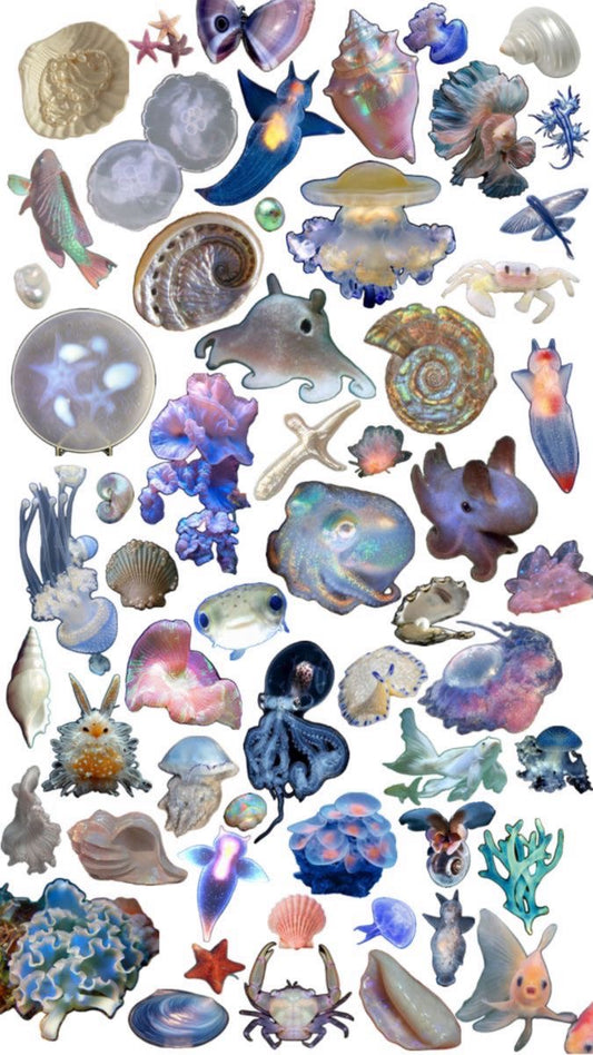 Sea life freestyle set🐡