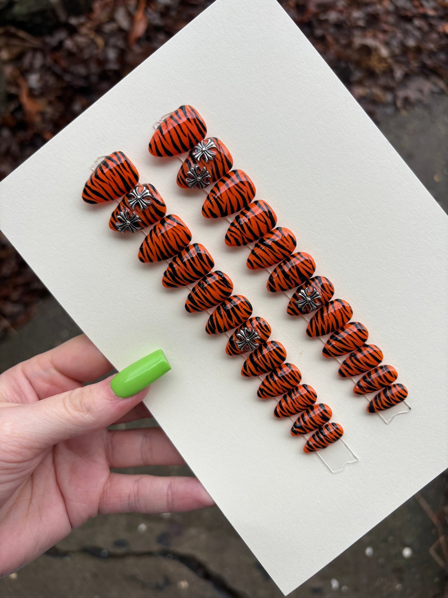 🐅⛓️‍💥 short almond one size fits all