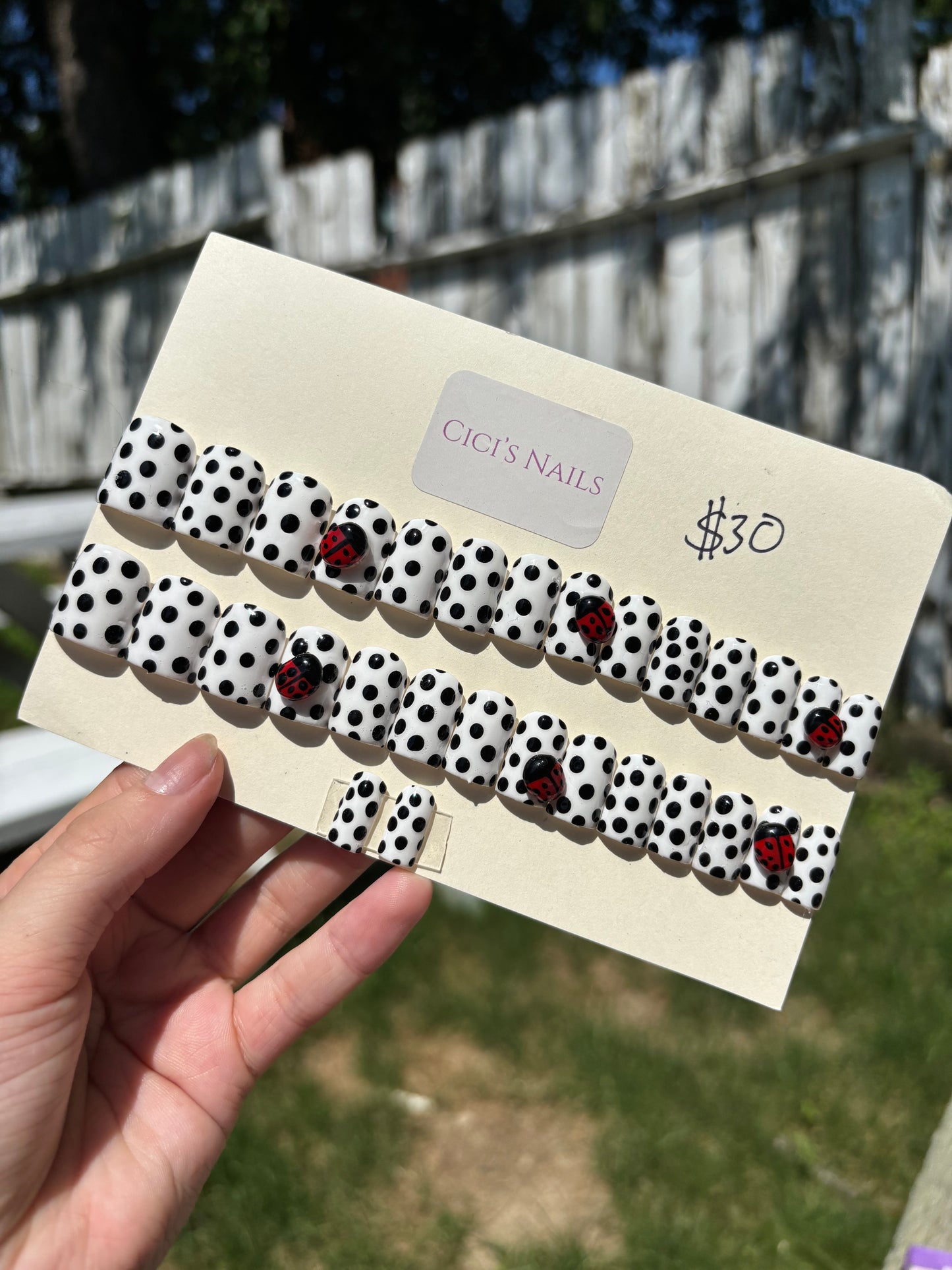 Lady bug polka dots short square 🐞🤍🖤