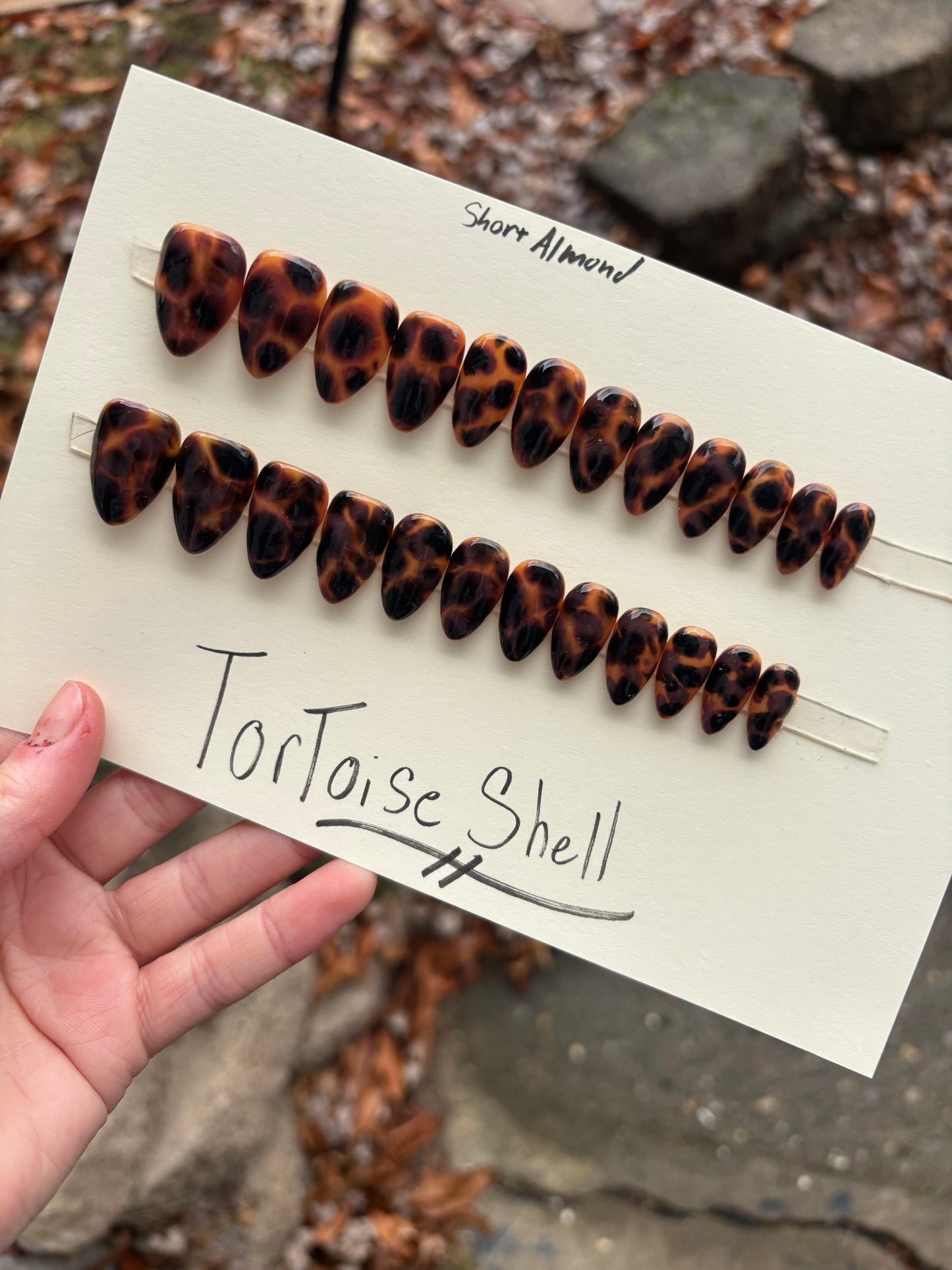 Tortoise shell🤎 short almond