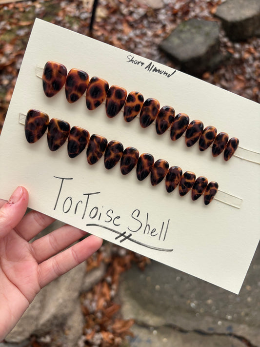 Tortoise shell🤎 short almond